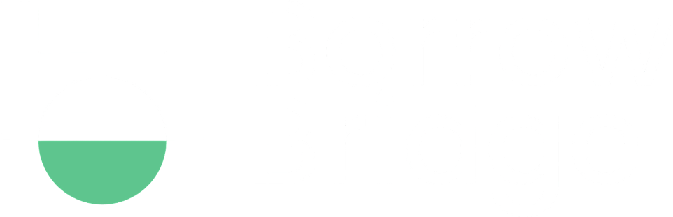 Borrow Bridge